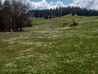 Avril 2025. La Molière.