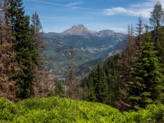 Juin 2025. Vue depuis l'abri.